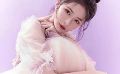 十九届六中全会公报发布